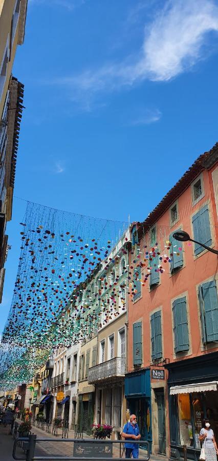 Un Petit Coin De France : A Cote De La Cite Medievale Apartment Carcassonne Ngoại thất bức ảnh
